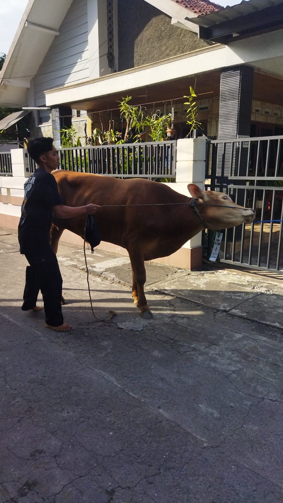 03 Kartikanarwanto